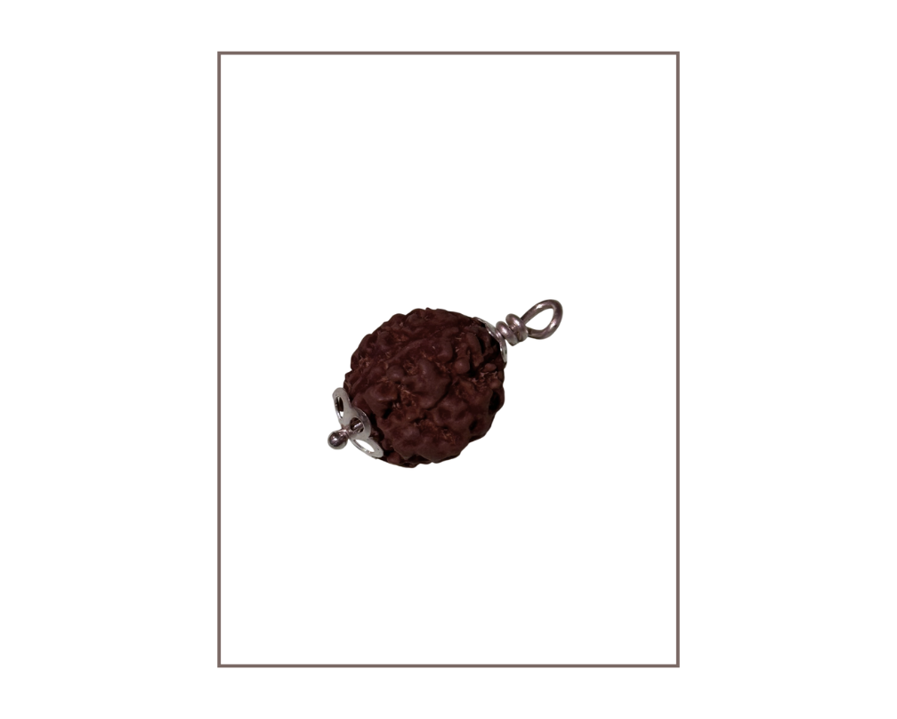 Rudrakshya 3 Mukhe (with locket)